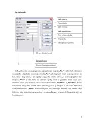 Skaičiuoklės duomenų bazės ir duomenų analizė 9 puslapis