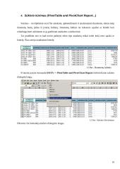 Skaičiuoklės duomenų bazės ir duomenų analizė 10 puslapis