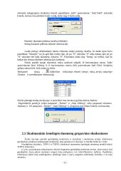 Skaitmeninis žemėlapis 12 puslapis