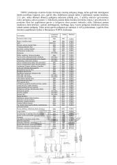 Skaitmeninis žemėlapis 13 puslapis