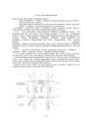 Skaitmeninis žemėlapis 15 puslapis