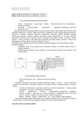 Skaitmeninis žemėlapis 17 puslapis