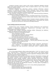 Skaitmeninis žemėlapis 20 puslapis