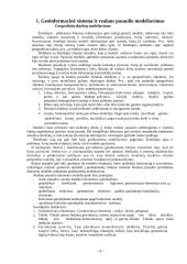 Skaitmeninis žemėlapis 4 puslapis