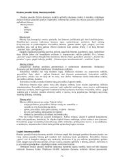 Skaitmeninis žemėlapis 5 puslapis