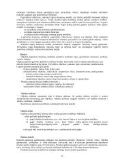 Skaitmeninis žemėlapis 6 puslapis