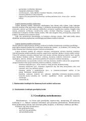 Skaitmeninis žemėlapis 7 puslapis