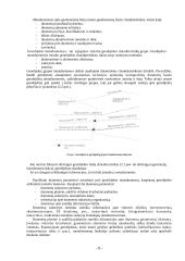 Skaitmeninis žemėlapis 8 puslapis