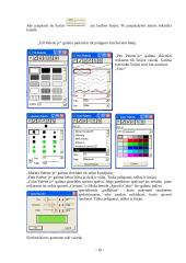 Skaitmeninis žemėlapis 10 puslapis