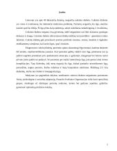 Slauga sergant cukriniu diabetu 2 puslapis