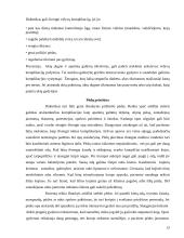 Slauga sergant cukriniu diabetu 13 puslapis