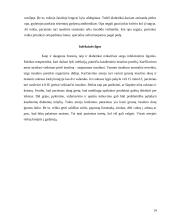 Slauga sergant cukriniu diabetu 14 puslapis