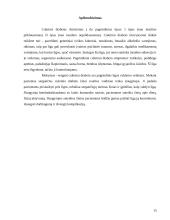 Slauga sergant cukriniu diabetu 15 puslapis