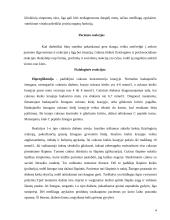 Slauga sergant cukriniu diabetu 4 puslapis