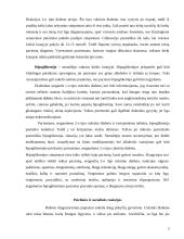 Slauga sergant cukriniu diabetu 5 puslapis