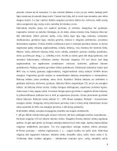 Slauga sergant cukriniu diabetu 8 puslapis