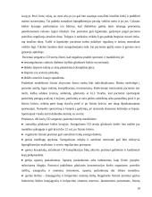 Slauga sergant cukriniu diabetu 10 puslapis