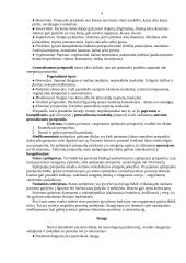 Slaugytojo veiksmai epilepsijos priepuolio metu 3 puslapis