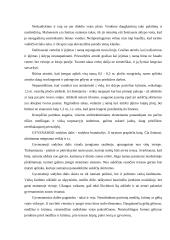 Sodybos zonavimas 4 puslapis