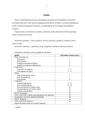 Somatiniai ir sensoriniai sutrikimai 2 puslapis