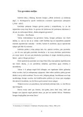 Sorenas Kierkegardas 2 puslapis