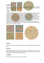 Spalvinė rega. Daltonizmas 9 puslapis