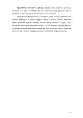 Specialybės motyvų pasirinkimo kitimo tendencijos 14 puslapis