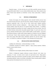Spuogai. Vaistus spuogams gydyti 3 puslapis