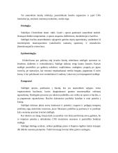 Stabligės klinika 2 puslapis