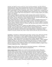 Stemplės susiaurėjimų priežastys ir rentgeno diagnostika 4 puslapis