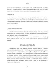 Stiklas ir stiklo atmainos 11 puslapis