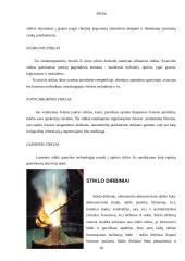 Stiklas ir stiklo atmainos 17 puslapis