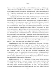 Stiklas ir stiklo atmainos 3 puslapis