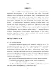 Stiklas ir stiklo atmainos 5 puslapis