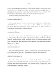 Stiklas ir stiklo atmainos 8 puslapis