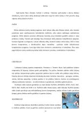 Stiklas ir stiklo atmainos 10 puslapis