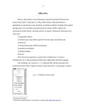 Stiliai ir automatinės dokumento tvarkymo priemonės 4 puslapis