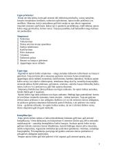 Storųjų žarnų funkcijos sutrikimai 5 puslapis