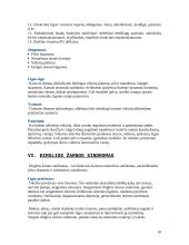 Storųjų žarnų funkcijos sutrikimai 10 puslapis