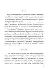 Stuburo išvarža 2 puslapis