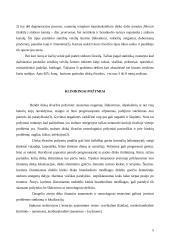 Stuburo išvarža 4 puslapis