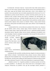 Stuburo išvarža 5 puslapis