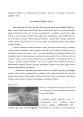 Stuburo išvarža 6 puslapis