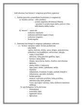 Svarbiausi ligonio priežiūros faktoriai stacionare 6 puslapis