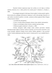 Ikimokyklinio amžiaus vaikų sveikos gyvensenos ugdymo metodika 5 puslapis