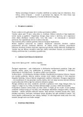 Sveika gyvensena ir žalingi įpročiai 5 puslapis