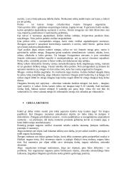 Sveika gyvensena ir žalingi įpročiai 7 puslapis