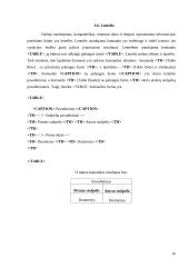 Svetainių kūrimas ir testavimas 16 puslapis