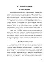 Šaltasis Karas: Jungtinės Amerikos Valstijos (JAV) ir SSRS priešprieša 12 puslapis