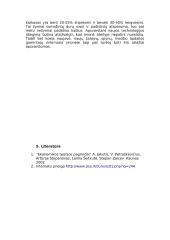 Šarvuotų durų gamybos technologija 11 puslapis